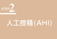 人工授精(AIH)