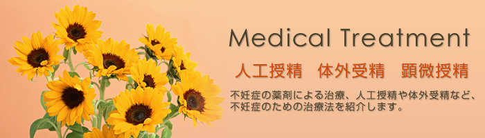 人工授精や体外受精など不妊症のための治療法